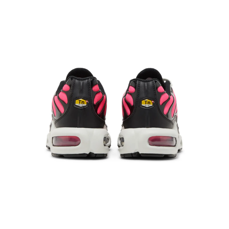 Air Max TN Plus - "Dusk"