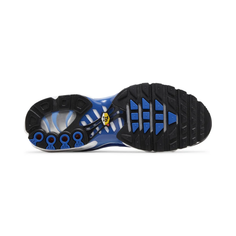 Air Max TN Plus - "Light Photography Old Royal"