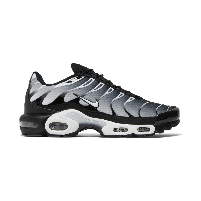 Air Max TN Plus - "Black Metallic Silver"