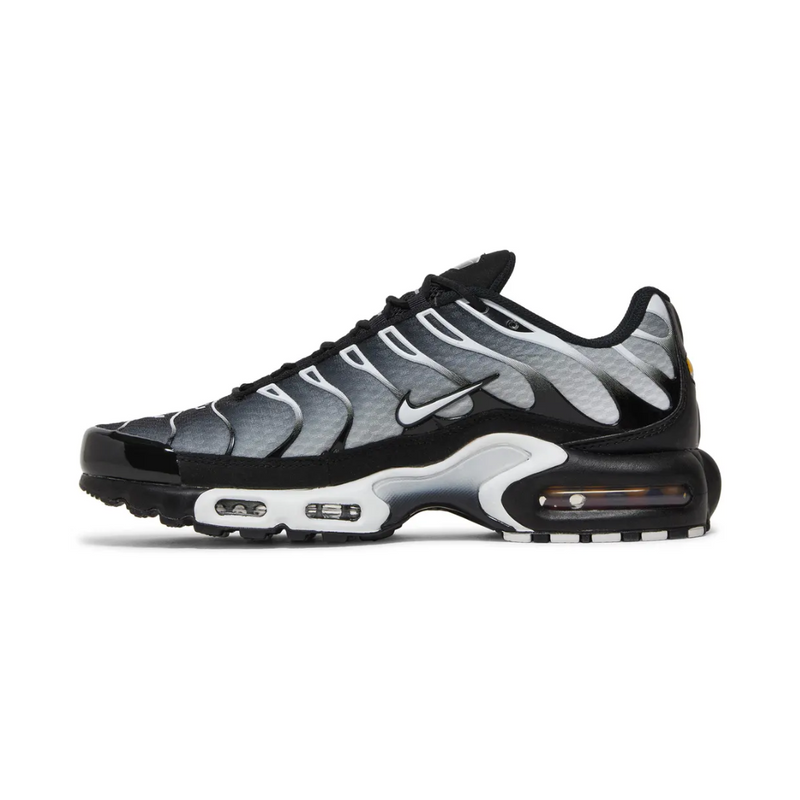 Air Max TN Plus - "Black Metallic Silver"