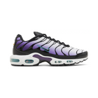 Air Max TN Plus - "Reverse Grape"