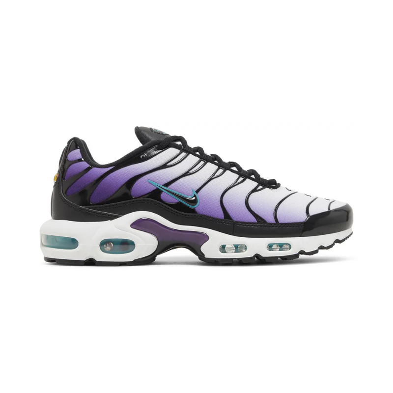Air Max TN Plus - "Reverse Grape"