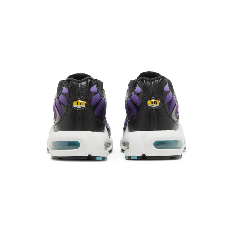 Air Max TN Plus - "Reverse Grape"