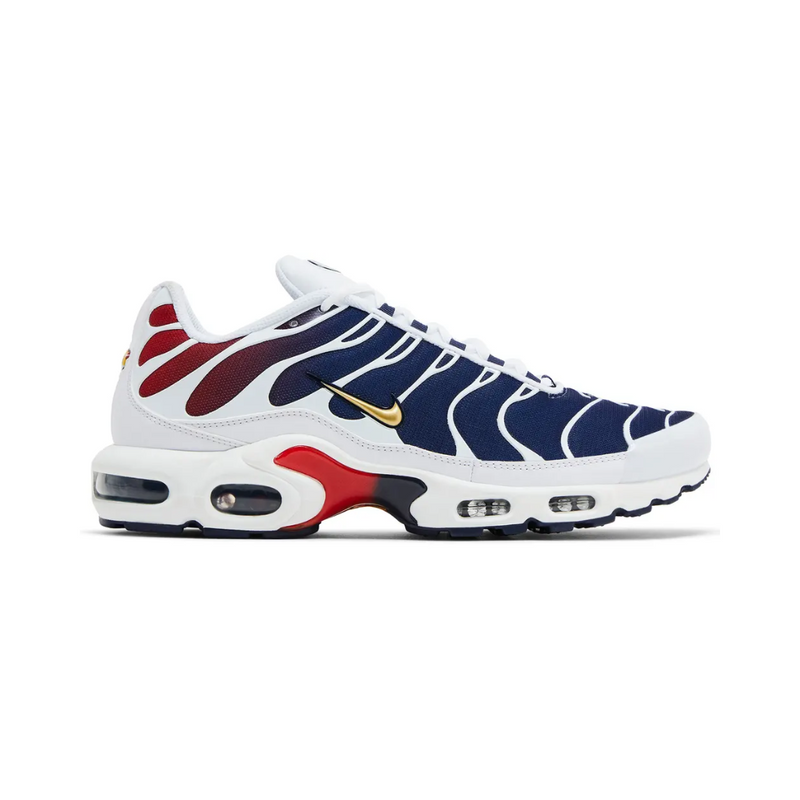 Paris Saint Germain (PSG) x Air Max TN Plus - "Home Kit"