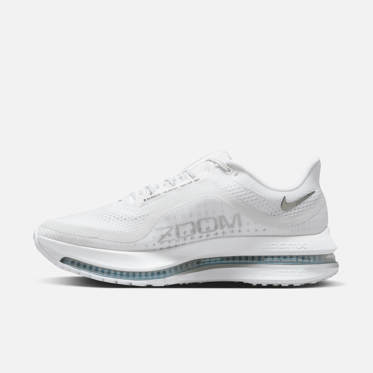 Nike Pegasus Premium - Branco / Prateado metálico