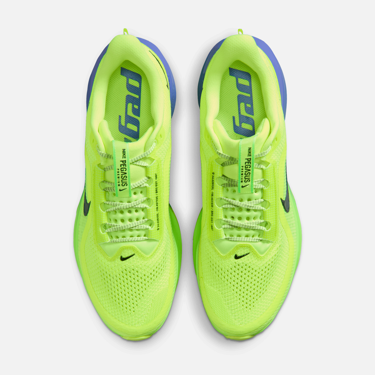 Nike Pegasus Premium - Verde-neon claro / Verde-lima intenso / Azul-safira / Preto