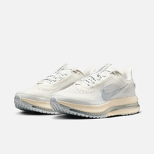Nike Pegasus Premium Running Is Mental - Cinza-platinado claro / Prateado refletivo / Cinza / Prateado metálico